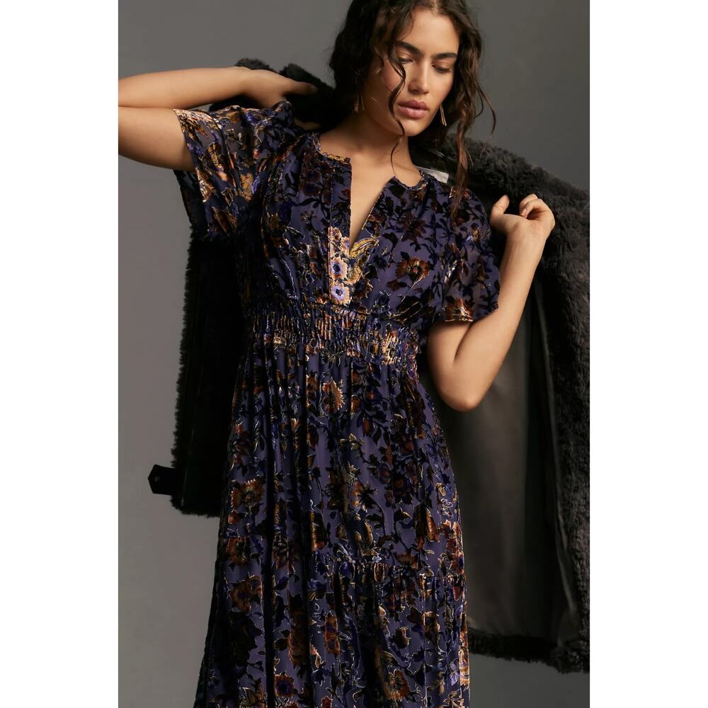 Anthropologie The Somerset Maxi Dress Velvet Devore Edition Size 2X Bohemian - Picture 3 of 16